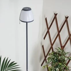 Hofstein Abuya Außenstehleuchte LED Anthrazit, 1-flammig -Günstiges Wegeleuchten Geschäft abuya aussenstehleuchte h3394328 10