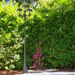 Hofstein Hongkong Kandelaber Schwarz, Transparent, Klar, 3-flammig -Günstiges Wegeleuchten Geschäft hongkong kandelaber 31331lbsw 8