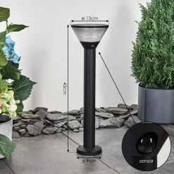 Hofstein Joennierni Wegeleuchte LED Schwarz, 1-flammig, Bewegungsmelder, Farbwechsler -Günstiges Wegeleuchten Geschäft joennierni wegeleuchte h3580097 3