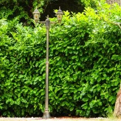 Hofstein Kandelaber Antibes Braun, Gold, 2-flammig -Günstiges Wegeleuchten Geschäft kandelaber antibes h169156 10