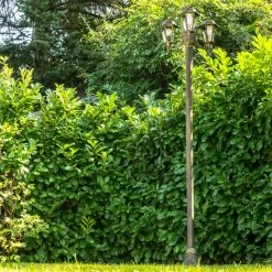 Hofstein Kandelaber NATAL Schwarz-Gold, 3-flammig -Günstiges Wegeleuchten Geschäft kandelaber natal h169323 do2 8