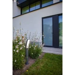 Lutec Lampen Lutec Kira Wegeleuchte LED Anthrazit, 1-flammig -Günstiges Wegeleuchten Geschäft lutec kira wegeleuchte 7288901118 5