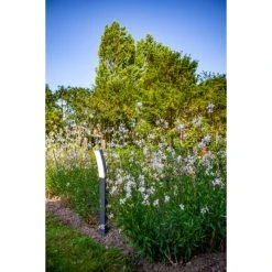 Lutec Lampen Lutec KIRA Wegeleuchte LED Anthrazit, 1-flammig -Günstiges Wegeleuchten Geschäft lutec kira wegeleuchte 7288902118 6