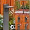 Hofstein Lyckan Wegeleuchte LED Anthrazit, 1-flammig, Bewegungsmelder -Günstiges Wegeleuchten Geschäft lyckan wegeleuchte h3447055 0