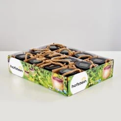 Hofstein Maastricht Solarleuchte 12er-Set LED Schwarz, 1-flammig -Günstiges Wegeleuchten Geschäft maastricht solarleuchte 12er set h3305287 do1 9