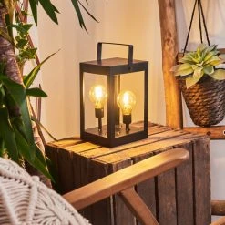 Hofstein Sciolze Solarleuchte LED Schwarz, Transparent, Klar, 2-flammig -Günstiges Wegeleuchten Geschäft sciolze solarleuchte h3428610 10