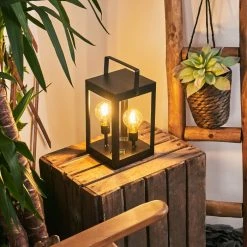 Hofstein Sciolze Solarleuchte LED Schwarz, Transparent, Klar, 2-flammig -Günstiges Wegeleuchten Geschäft sciolze solarleuchte h3428610 8