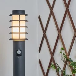 Hofstein Tunes Wegeleuchte Anthrazit, 1-flammig, Bewegungsmelder 25 Hofstein Tunes Wegeleuchte Anthrazit, 1-flammig, Bewegungsmelder -Günstiges Wegeleuchten Geschäft tunes wegeleuchte h3459027 10