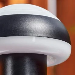 Hofstein Vinara Wegeleuchte LED Schwarz, 1-flammig -Günstiges Wegeleuchten Geschäft vinara wegeleuchte h3590751 5